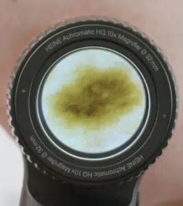 heine_delta_30_pro_bialo_niebieski