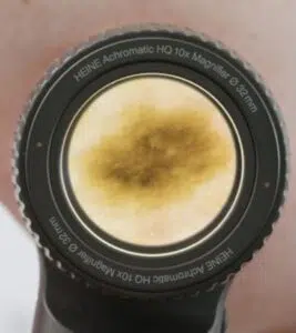 heine_delta_30_pro_bialy_neutralny