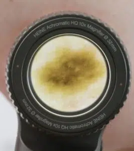 heine_delta_30_pro_bialy_zimny